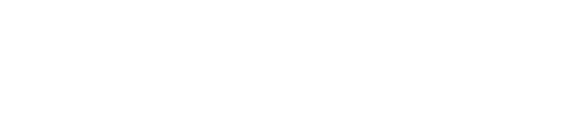 WD COMPUTER